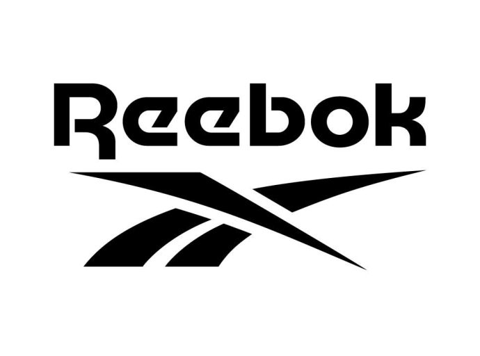 REEBOK: ZIG DYNAMICA 3 SHOES